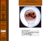 Der Screenshot von RateMyPoo.com