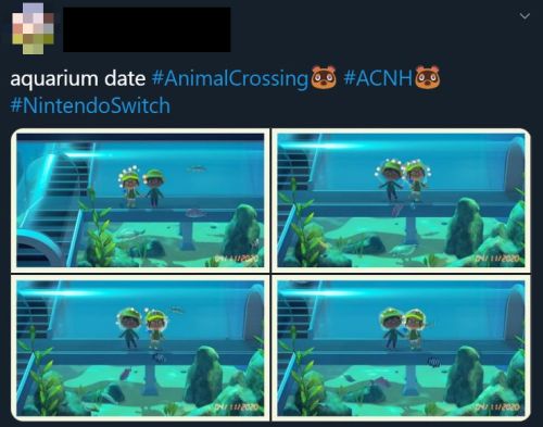 animal crossing date