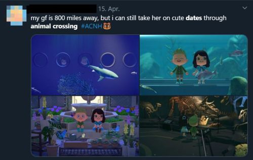 Animal Crossing long distance