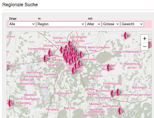regionale suche kaufmich.com