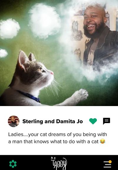 datingapp tabby