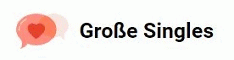 Screenshot Grosse.Singles (ehem. BinGross.de) - Logo